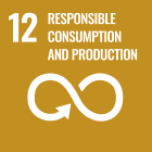 12:Responsible consumption and production