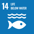 14:Life below water